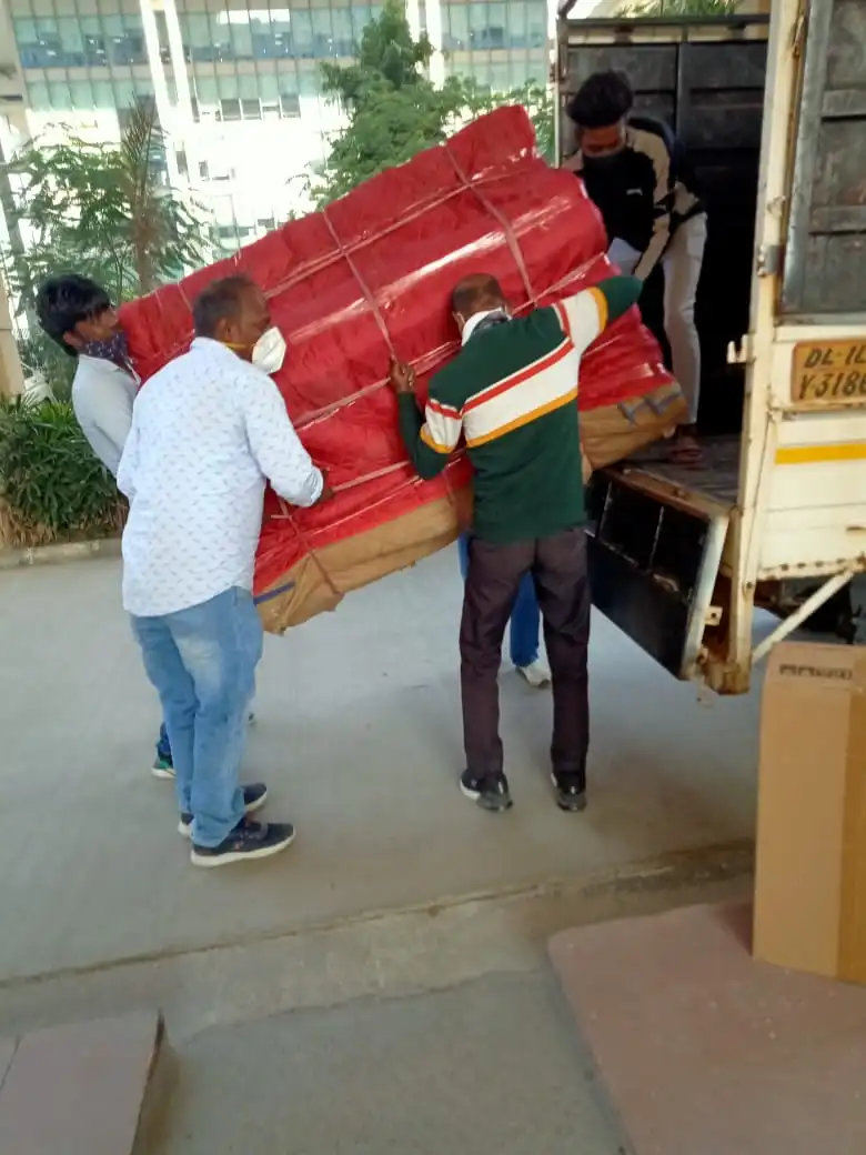 Pet Relocation Sector 82 Noida, Noida